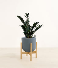 Load image into Gallery viewer, Iron Gray stand:bamboo
