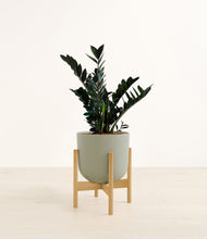 Load image into Gallery viewer, Sage Green stand:bamboo
