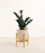 Load image into Gallery viewer, Sandy Pink stand:bamboo
