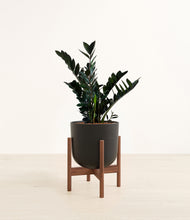 Load image into Gallery viewer, Stone Black stand:walnut
