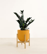 Load image into Gallery viewer, Sunset Orange stand:bamboo
