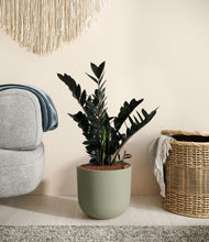 Load image into Gallery viewer, Sage Green
