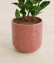 Load image into Gallery viewer, Hammered Rose Pink stand:all
