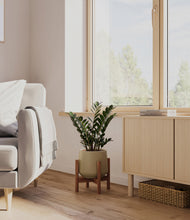 Load image into Gallery viewer, Olive stand:dark
