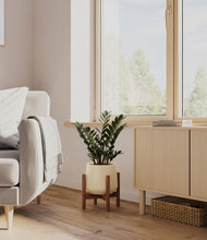 Load image into Gallery viewer, Almond Green stand:dark

