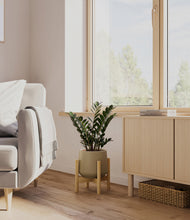 Load image into Gallery viewer, Olive stand:light
