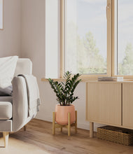 Load image into Gallery viewer, Calm Rose stand:light
