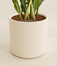 Load image into Gallery viewer, Cream stand:all
