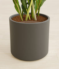 Load image into Gallery viewer, Dark Olive stand:all
