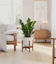 Load image into Gallery viewer, Natural Bamboo stand:walnut
