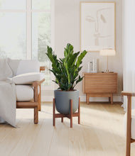 Load image into Gallery viewer, Iron Gray stand:walnut
