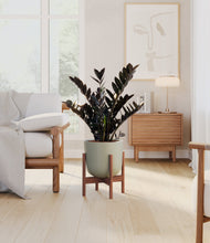 Load image into Gallery viewer, Sage Green stand:dark
