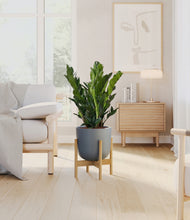 Load image into Gallery viewer, Iron Gray stand:bamboo
