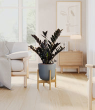 Load image into Gallery viewer, Sage Green stand:light
