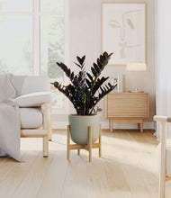 Load image into Gallery viewer, Sage Green stand:light
