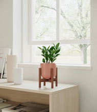 Load image into Gallery viewer, Striped Rose Pink stand:walnut
