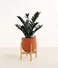 Load image into Gallery viewer, Earth Red stand:light
