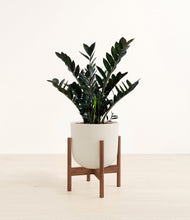 Load image into Gallery viewer, Natural Bamboo stand:dark
