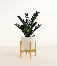 Load image into Gallery viewer, Natural Bamboo stand:light
