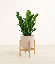Load image into Gallery viewer, Sandy Pink stand:bamboo
