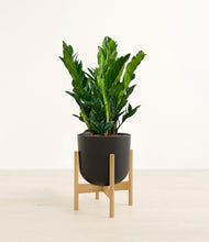 Load image into Gallery viewer, Stone Black stand:bamboo
