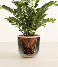 Load image into Gallery viewer, Sandy Pink stand:all
