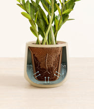 Load image into Gallery viewer, Almond Green stand:all
