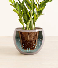 Load image into Gallery viewer, Winter Clouds stand:all
