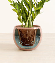 Load image into Gallery viewer, Calm Rose stand:all
