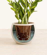 Load image into Gallery viewer, Shiny EggWhite stand:all
