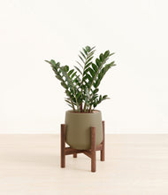 Load image into Gallery viewer, Olive stand:dark
