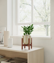 Load image into Gallery viewer, Sage Green stand:walnut
