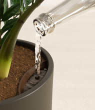 Load image into Gallery viewer, Dark Olive stand:all
