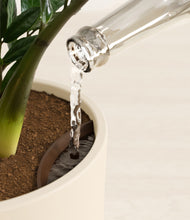 Load image into Gallery viewer, Cream stand:all
