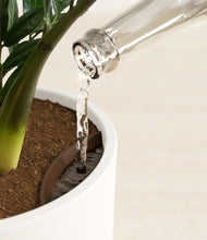 Load image into Gallery viewer, White stand:all
