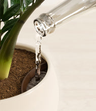 Load image into Gallery viewer, Shiny EggWhite stand:all
