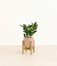 Load image into Gallery viewer, Glossy Pink stand:bamboo
