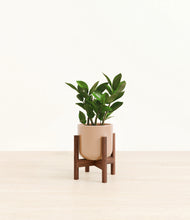 Load image into Gallery viewer, Glossy Pink stand:walnut
