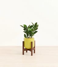 Load image into Gallery viewer, Key Lime Yellow stand:walnut
