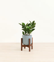 Load image into Gallery viewer, Misty Blue stand:walnut

