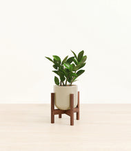 Load image into Gallery viewer, Sage Green stand:walnut
