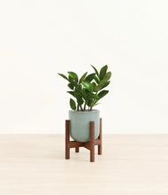 Load image into Gallery viewer, Reactive Aqua stand:walnut
