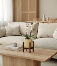 Load image into Gallery viewer, Almond Green stand:walnut
