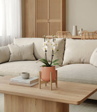 Load image into Gallery viewer, Calm Rose stand:bamboo
