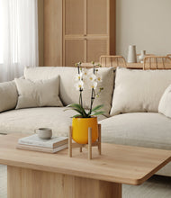Load image into Gallery viewer, Mustard stand:bamboo
