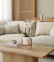 Load image into Gallery viewer, White stand:bamboo
