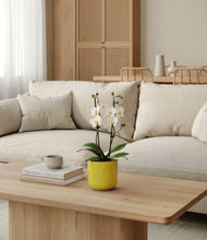 Load image into Gallery viewer, Key Lime Yellow

