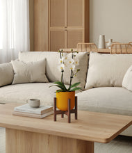 Load image into Gallery viewer, Sunset Orange stand:walnut
