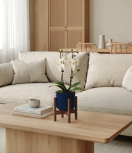 Load image into Gallery viewer, Twilight Blue stand:walnut
