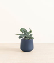 Load image into Gallery viewer, Deep Navy*****Profile
